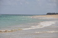 Maui Beach