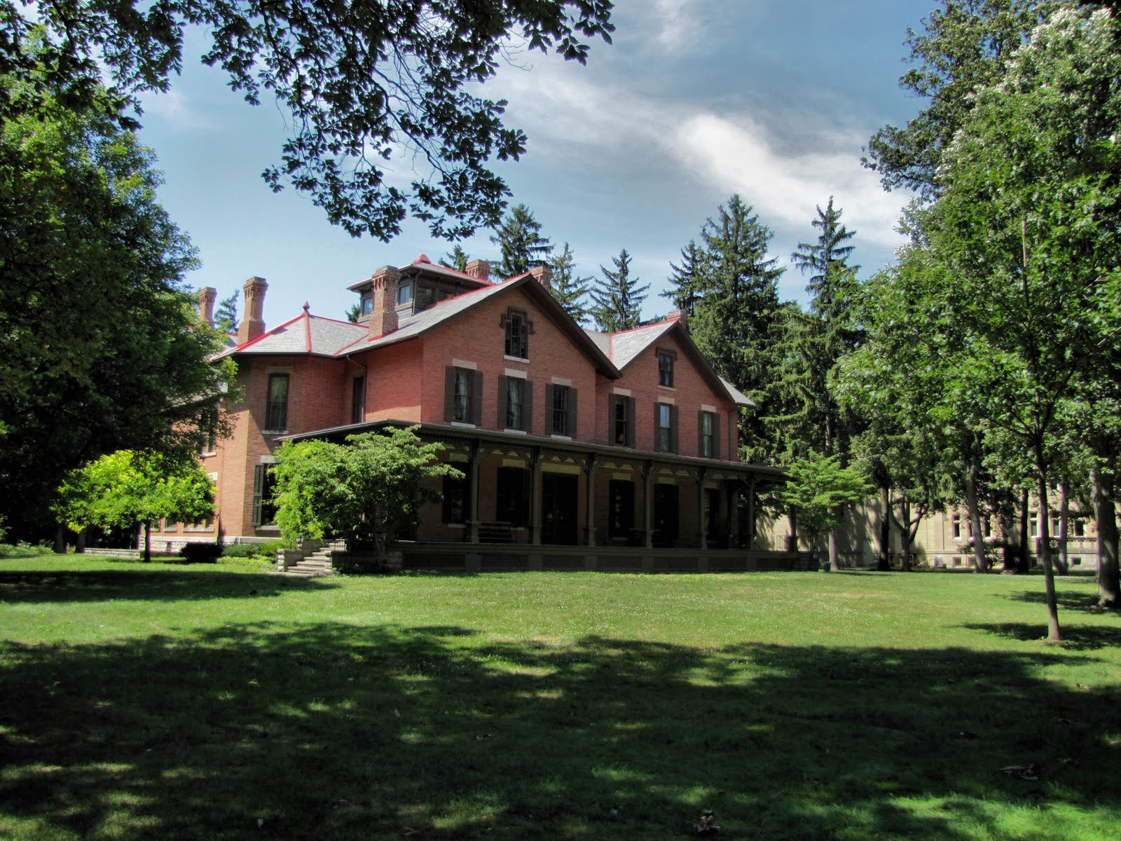 Birds from Behind 01 August 2010