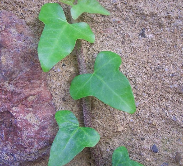 My Image 11