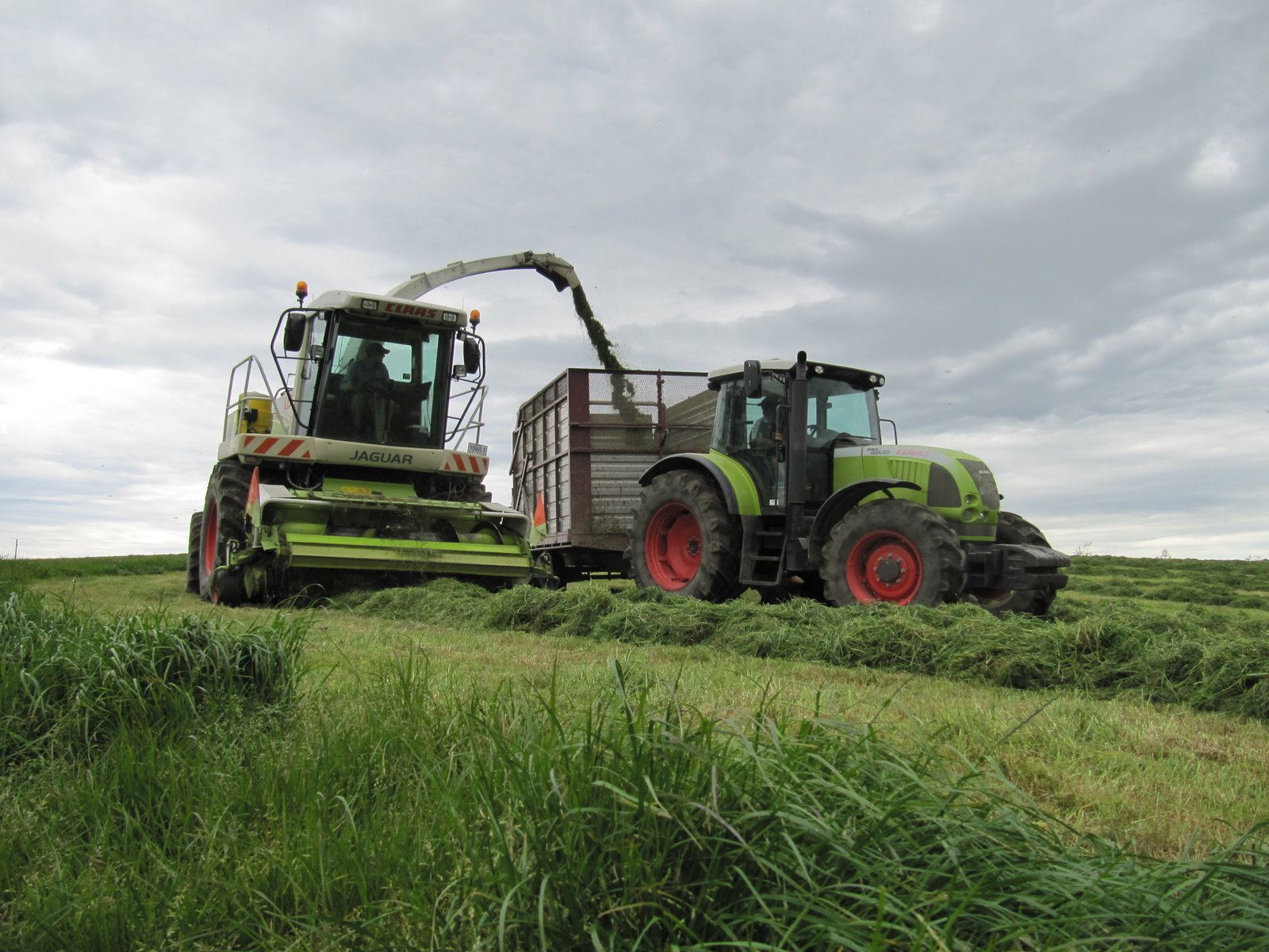 Planes Grains & Animals: Silage season at last!