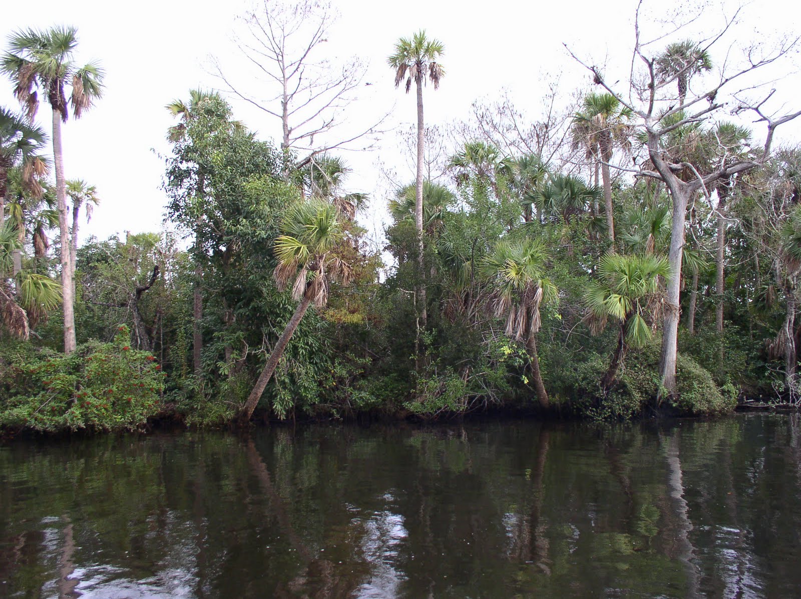 Jupiter Real Estate and Lifestyle Loxahatchee River Clean Up May 22