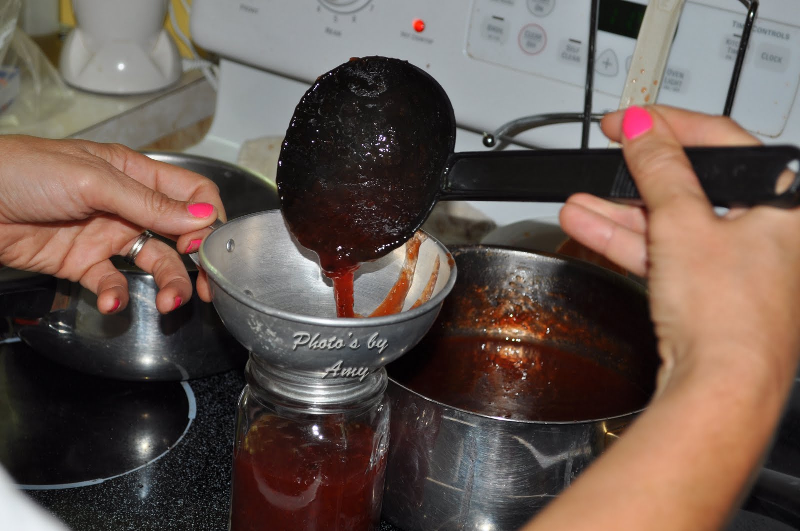 The Cottage Homestead Oh Yea, It's Sand Plum Jam Recipe.....