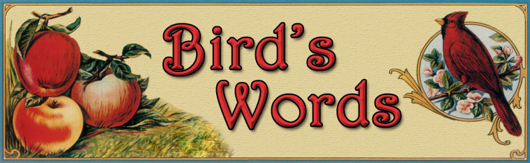 Bird's Words