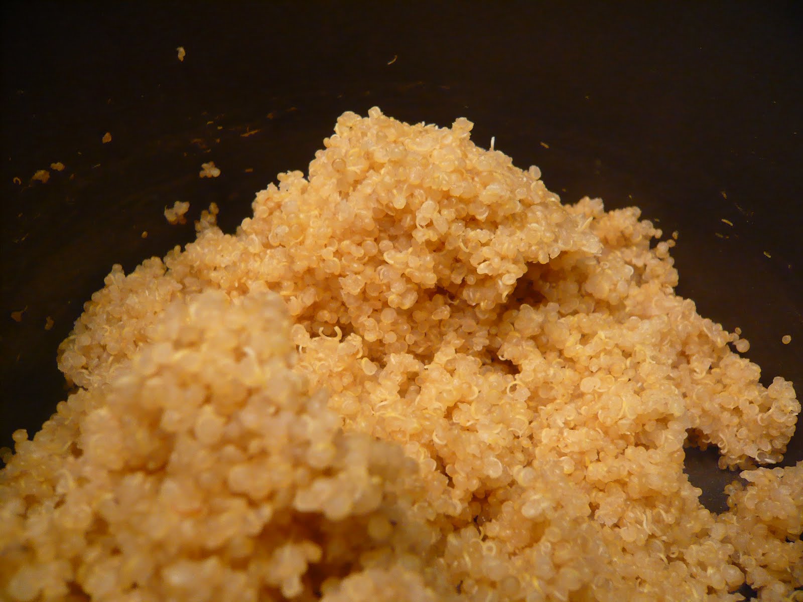 newFOOD tuesdayz Balsamic Quinoa with Shallots and Mushrooms