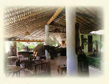 Location de villas magnifiques