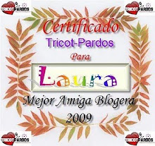 Certificado de Mejor Amiga Bloguera 2009 !!!