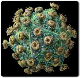 virus HIV