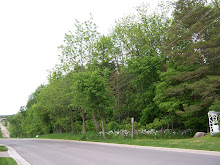 Victoria Glen Park, Elmira