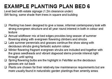 [grassroofco-Planting-Proposal-Bed-6-a.jpg]