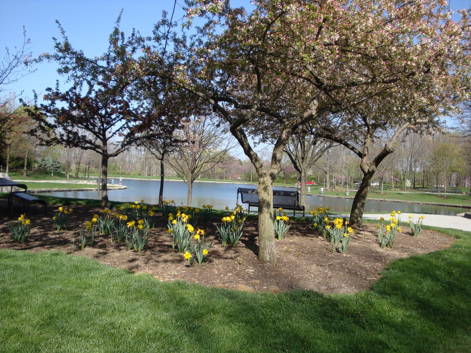 Lincoln Park Commons Pond News Kettering, Ohio Spring Is Here In