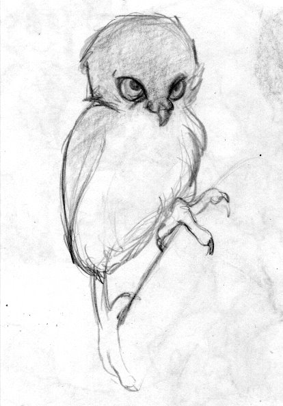 [OWL.jpg]