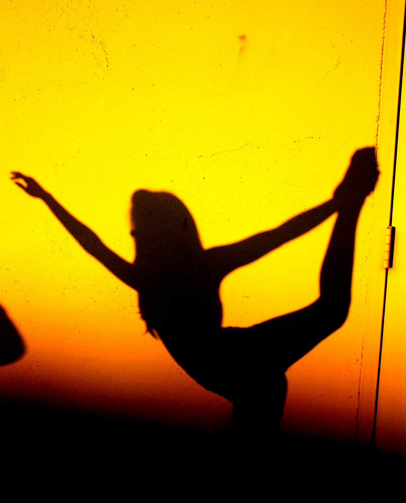 The Tanner Family Shadow Dance