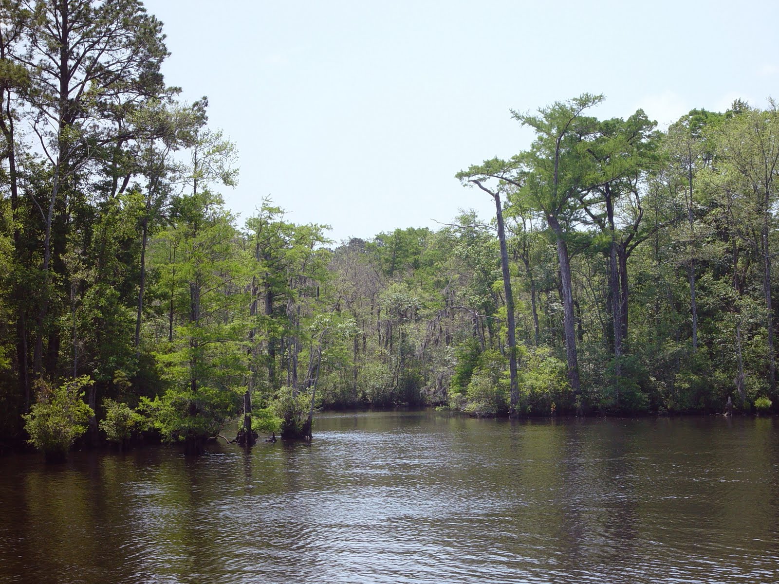 Island Passage Waccamaw River to SC