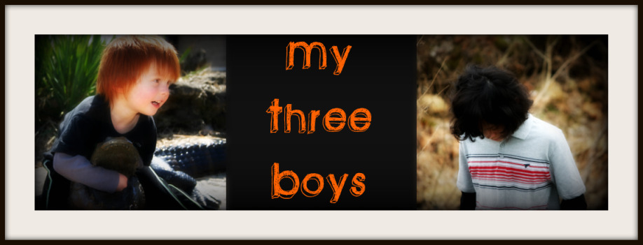 My Three Boys