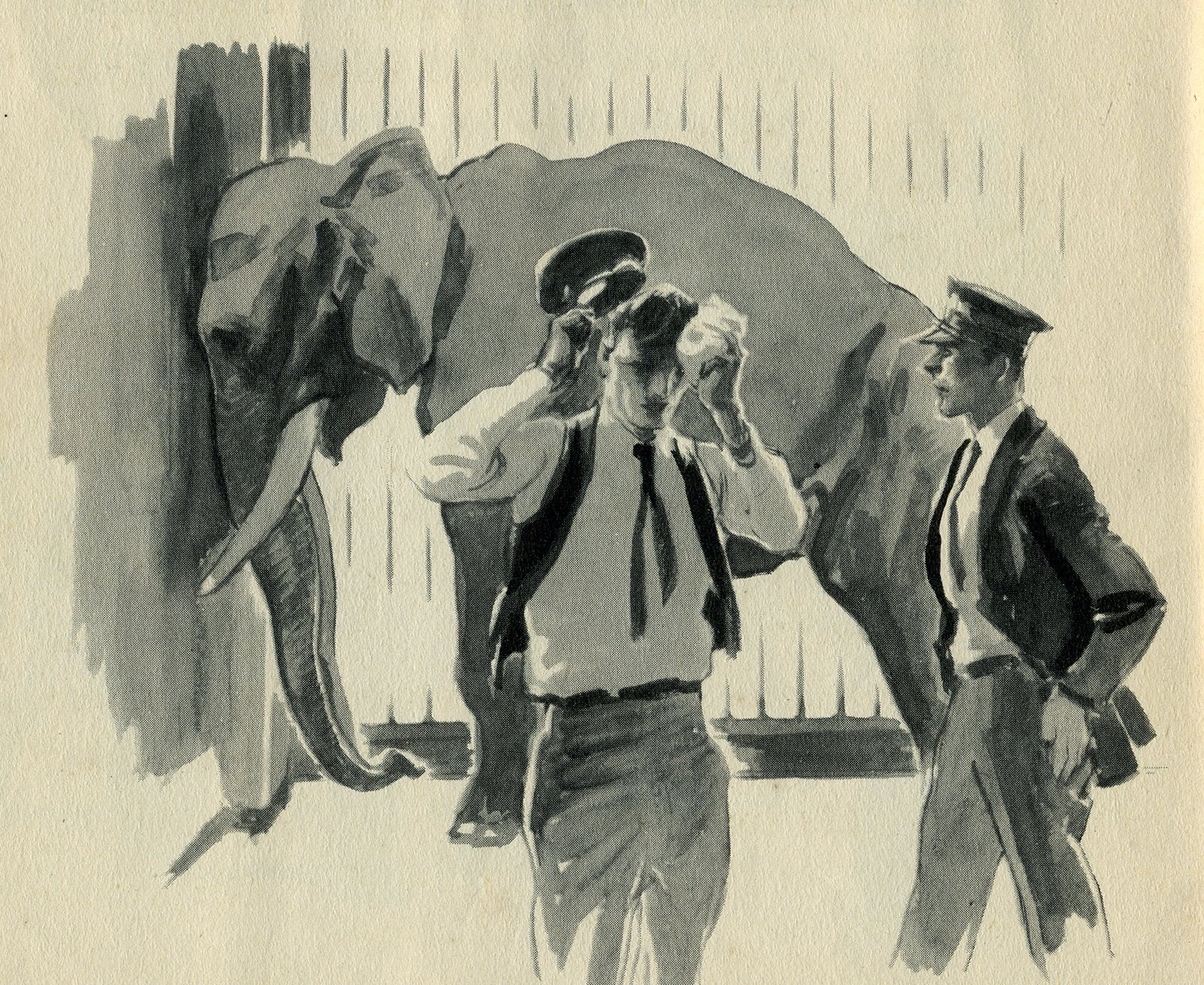 [animals1.jpg]