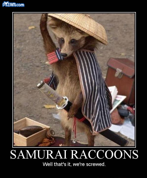 [samurai+raccoon.jpg]