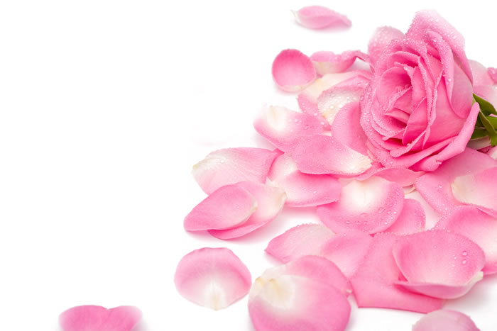 with pink rose petals.