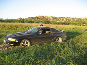 Mustang 95 3.8 V6