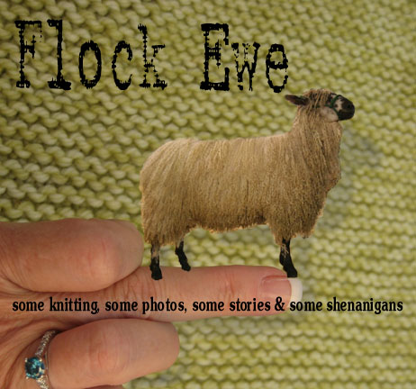 Flock Ewe