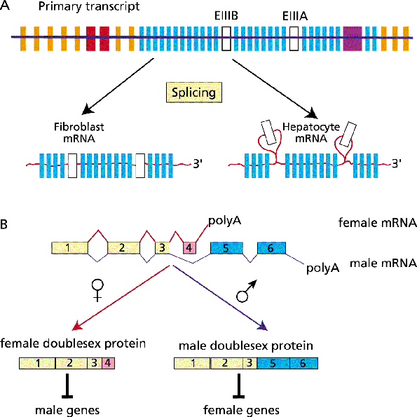 [fig0212.gif]