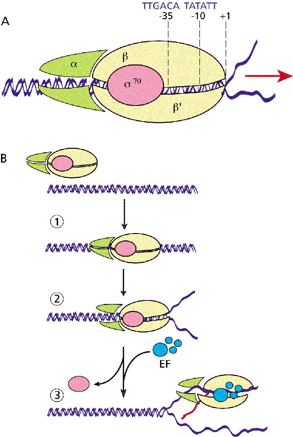 [fig0212.gif]