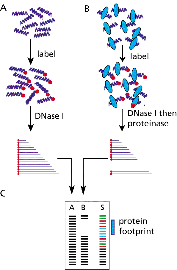 [fig0304.gif]