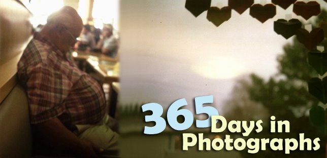 365 Days in Photographs
