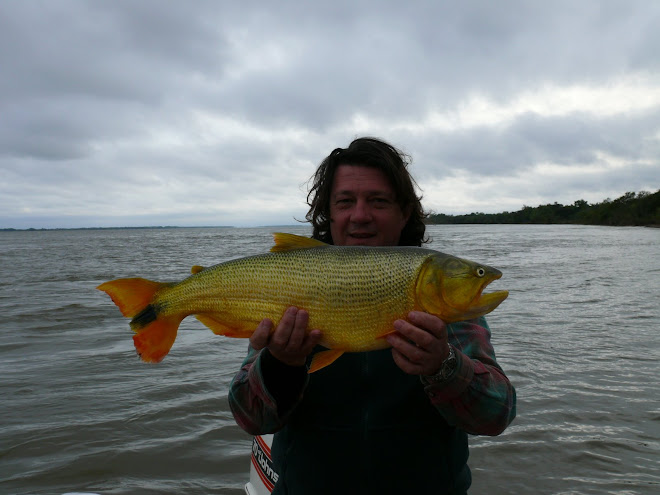 Buenos dorados en el río Uruguay