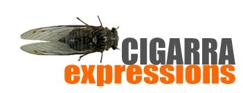 Cigarra Expressions - Production Company