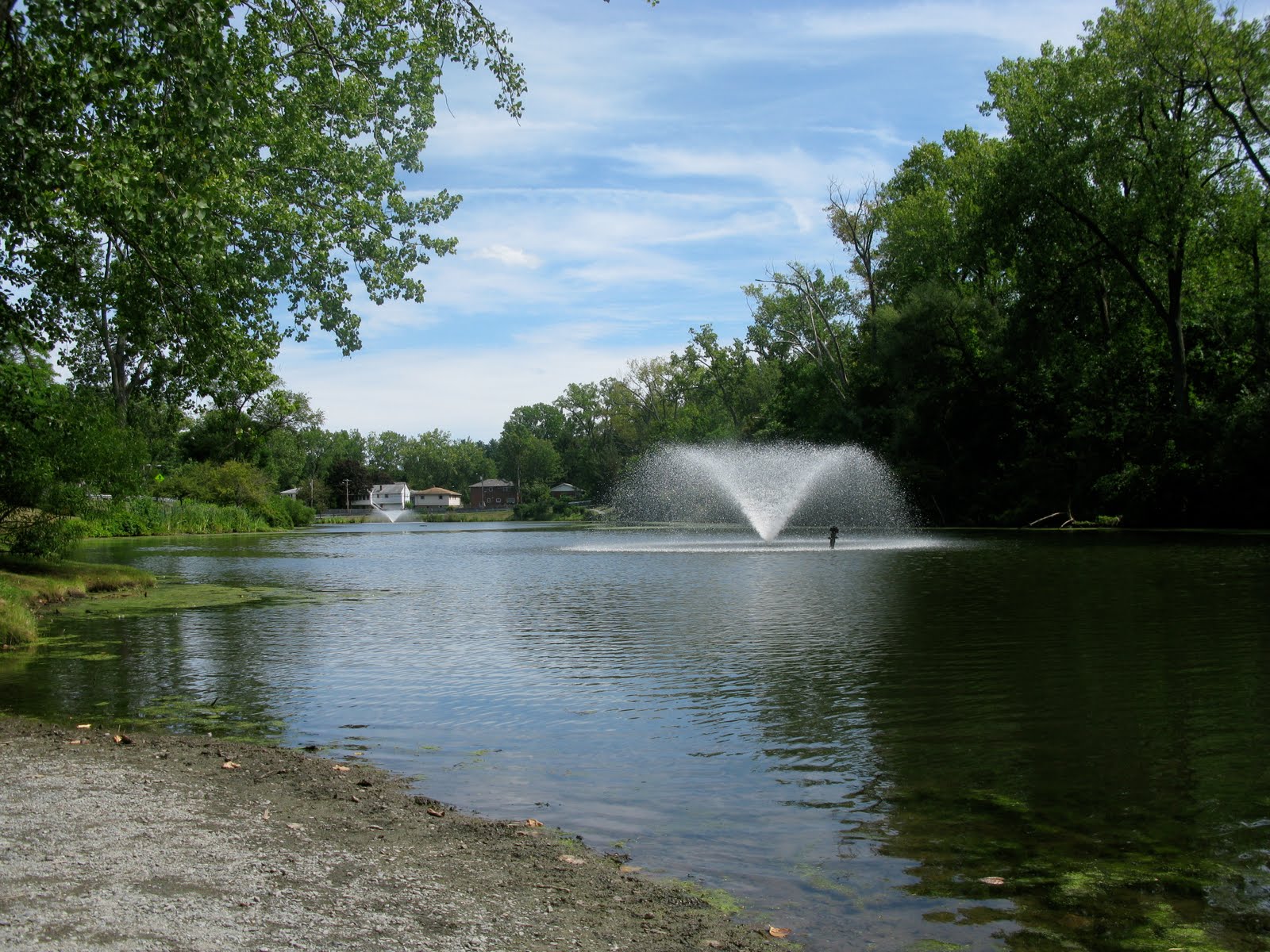 Kid Friendly Albany Buckingham Lake Park