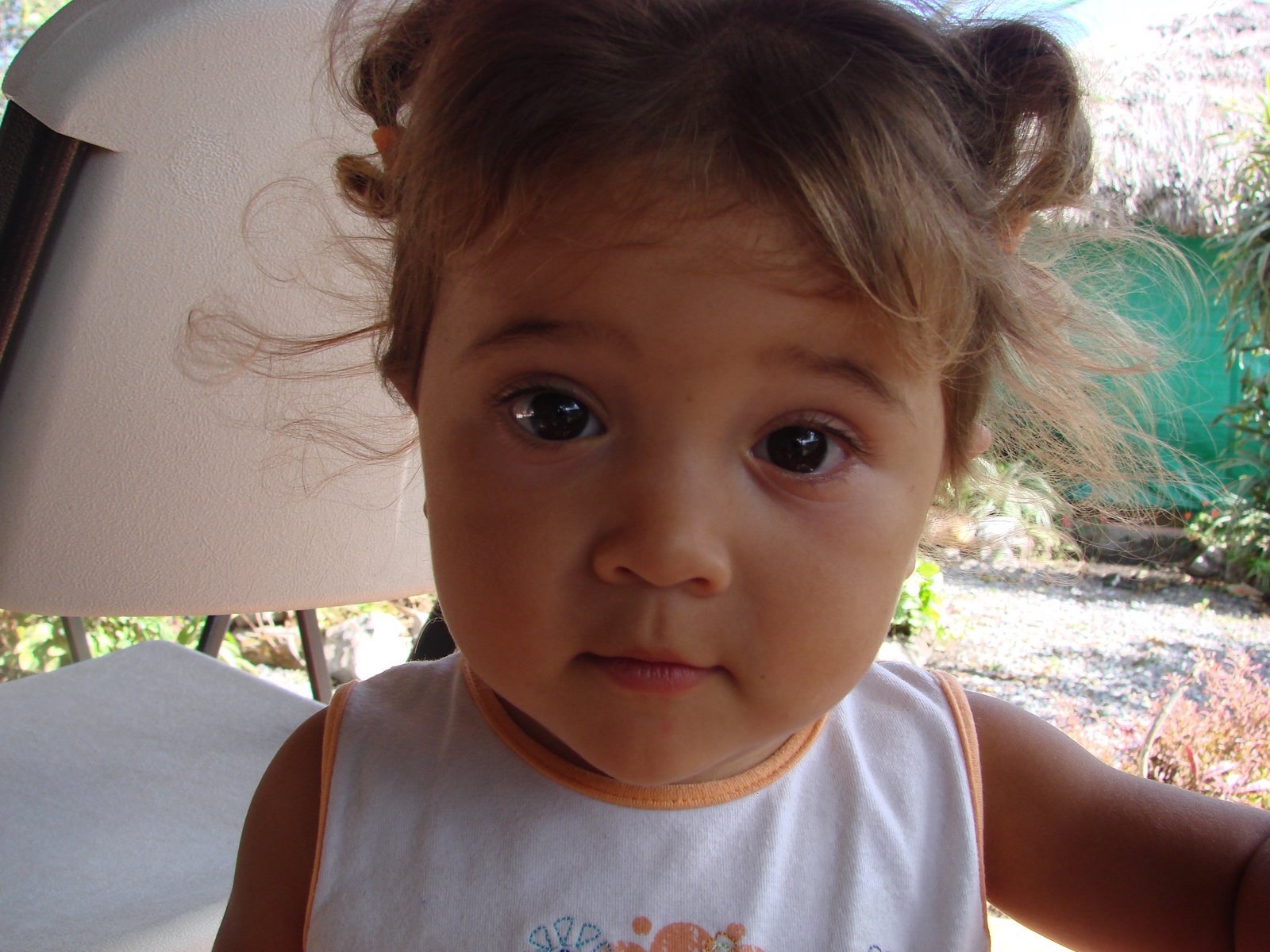 [DSC01730.JPG]