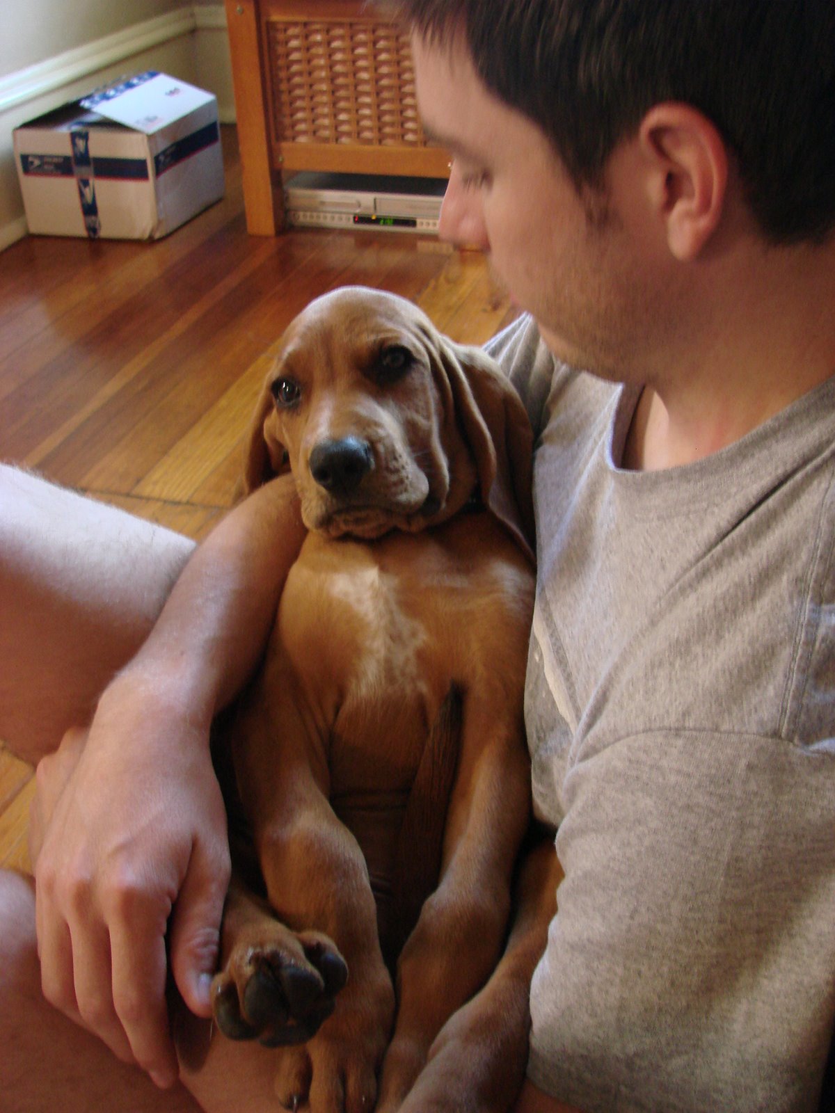 [puppy2+001.JPG]