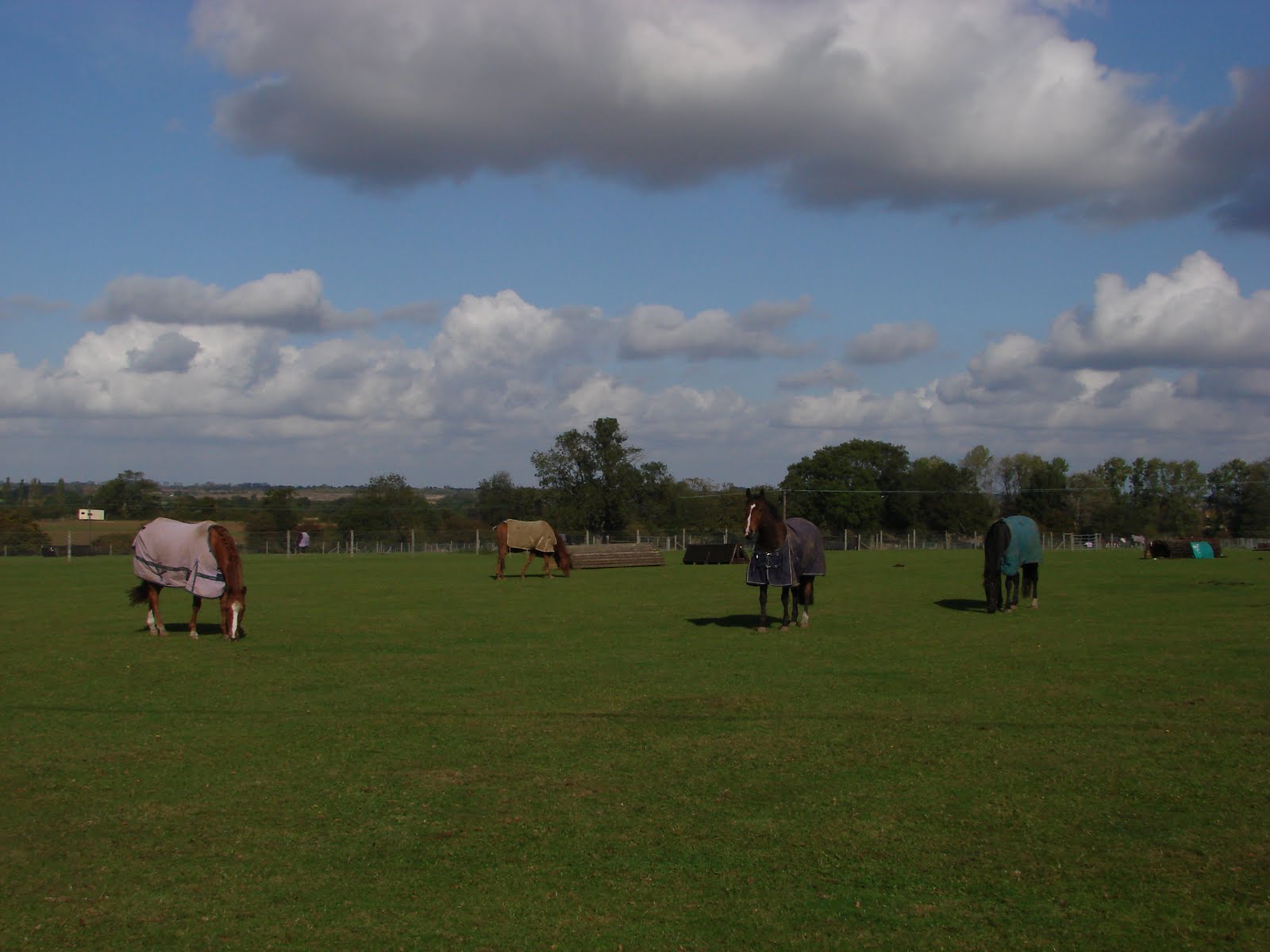 [writtle+080.JPG]