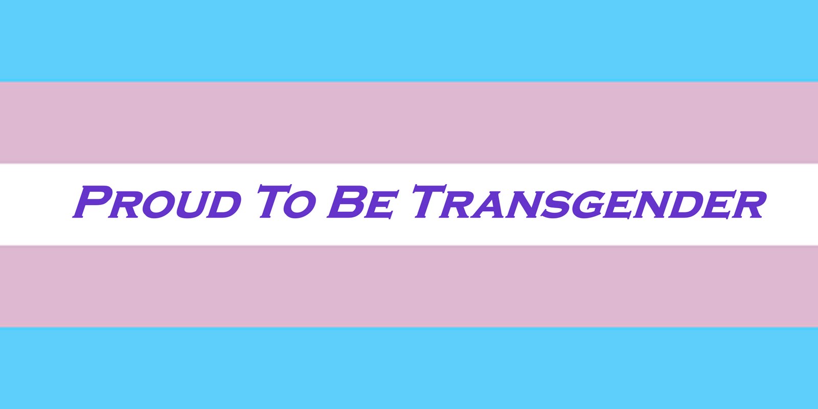 Image result for transgender pride