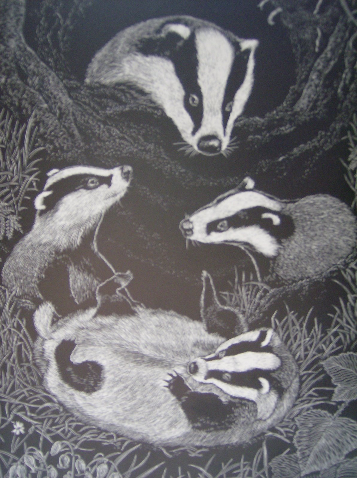 [badger+with+cubs+at+play+2+71.JPG]