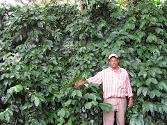 Tobias' organic coffee