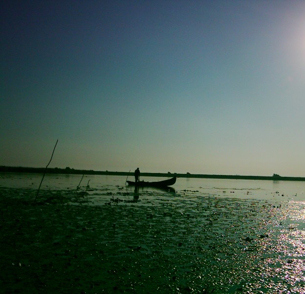 Delta Dunării, dimineaţa