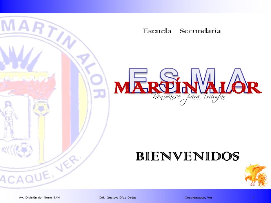 escmartinalor@hotmail.com