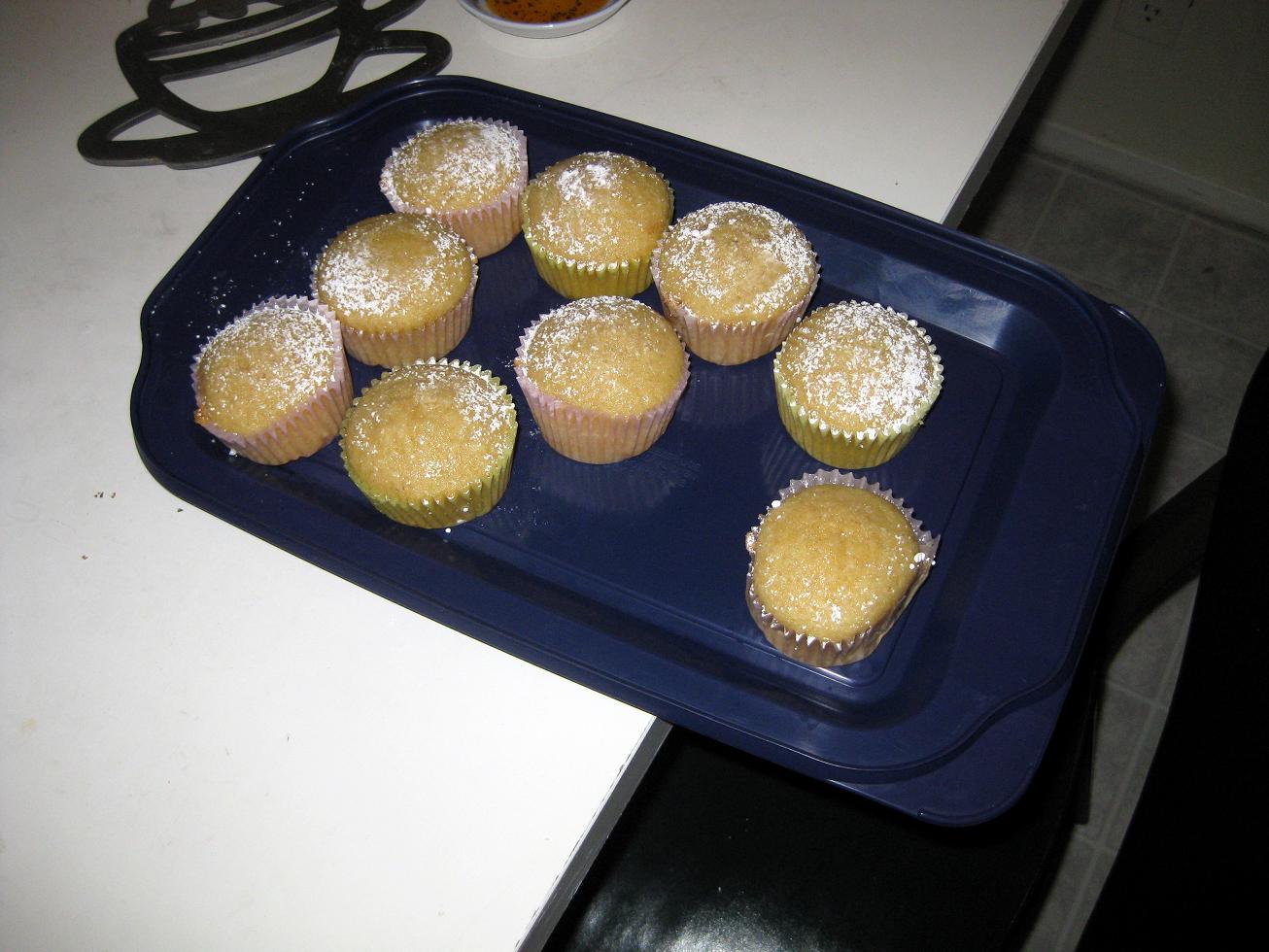 [potluckvegancupcakes.JPG]