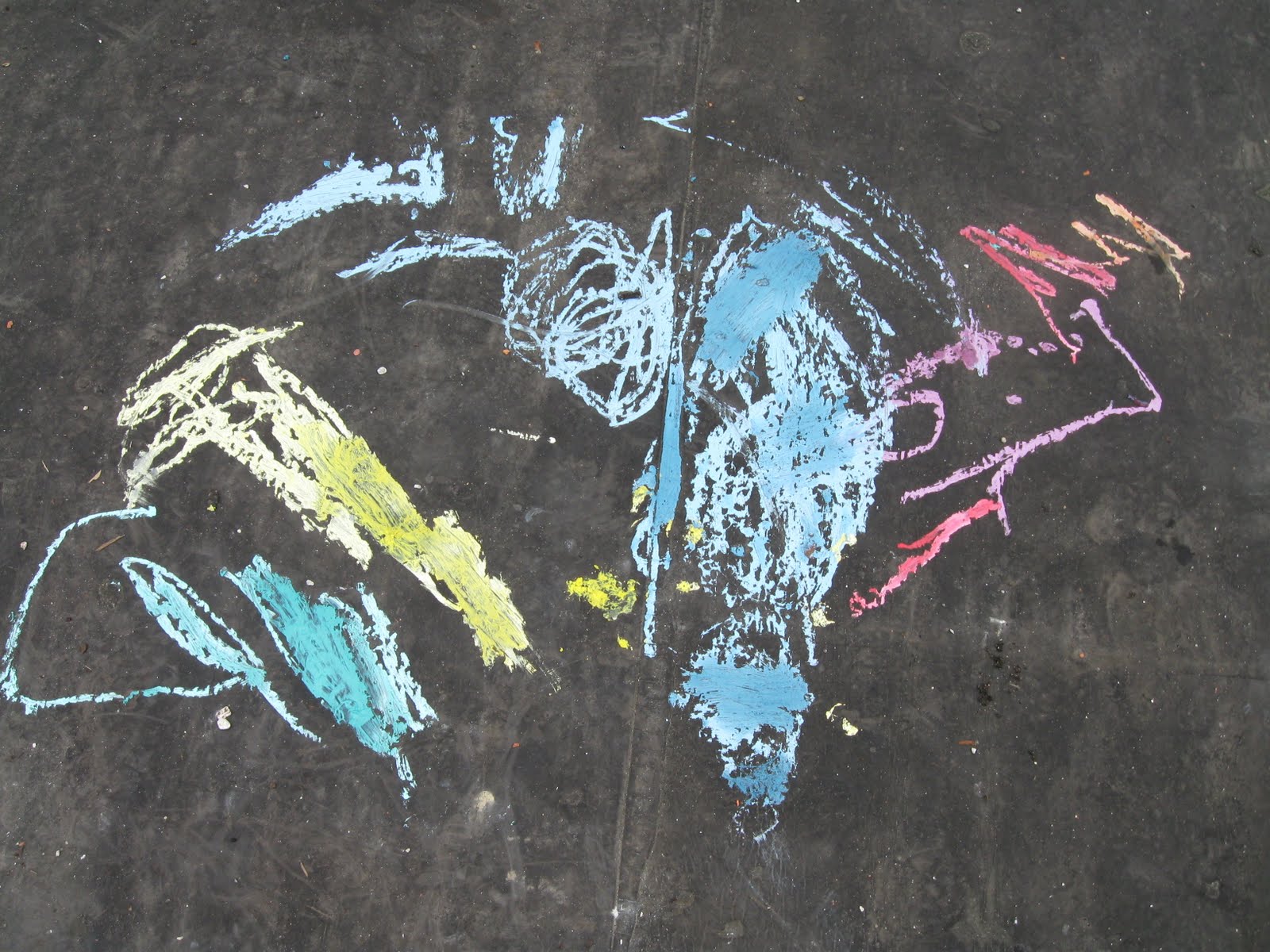 Moth and Sparrow Chalk Art