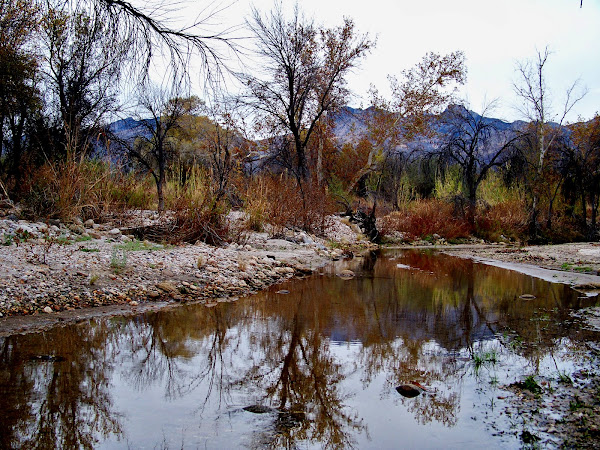 Sebino Creek, Arizona