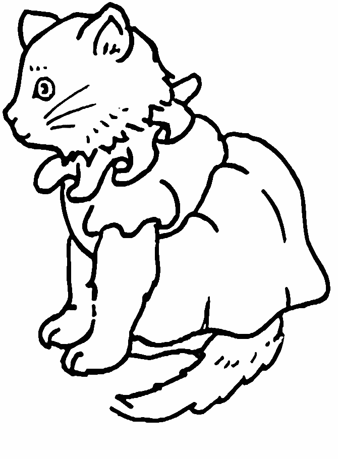 [cat5.gif]