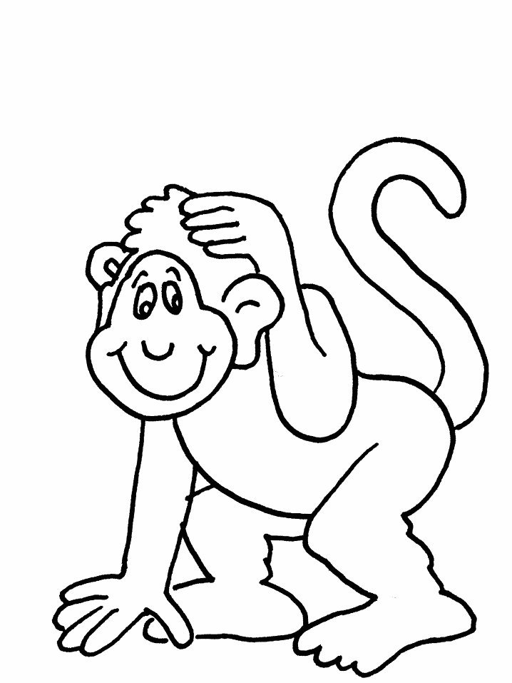 [macaco.gif]