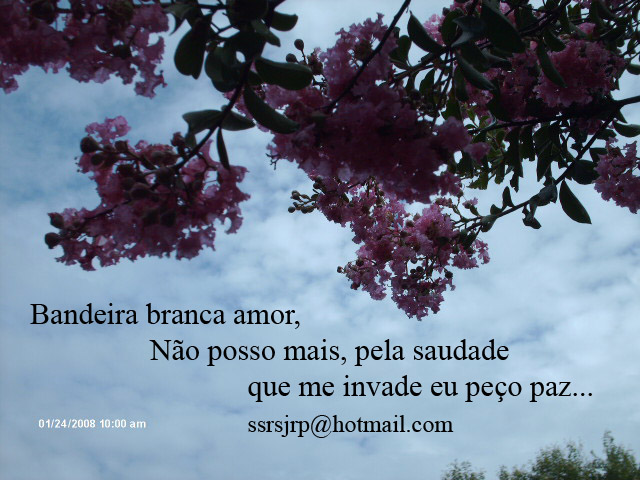 [Imagem1261.jpg]
