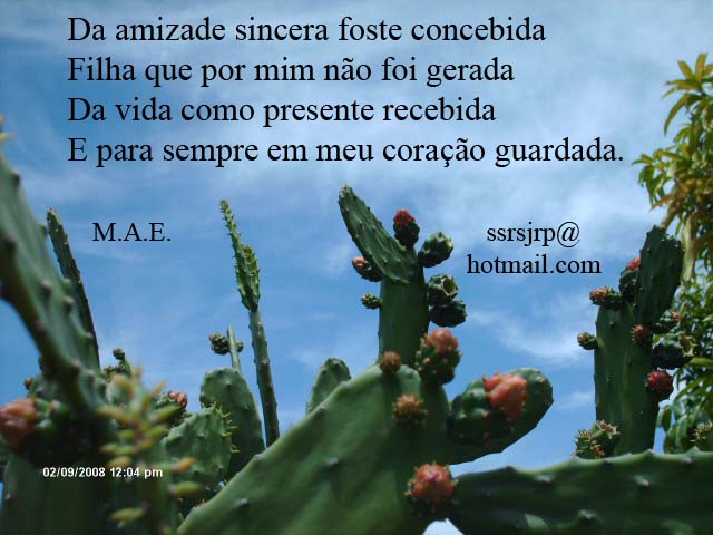 [Im+030.jpg]