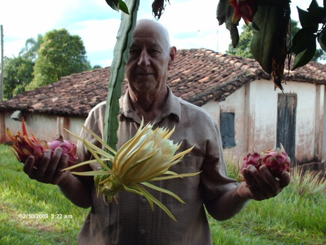 [Imagem+048.jpg]