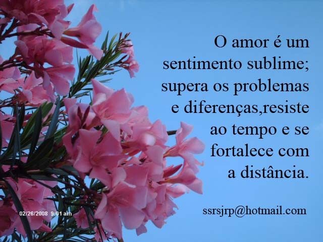 [Imagem+1362.jpg]