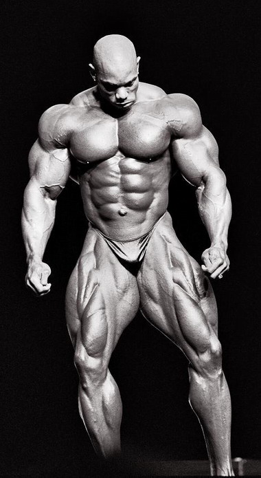 Top 10 Best Bodybuilder Physiques of All Time