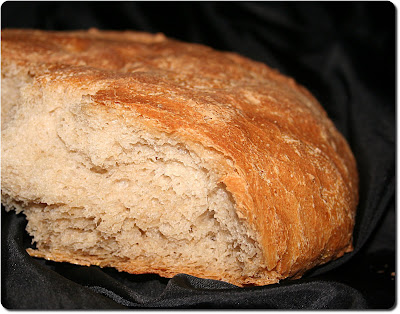 le-vrai-pain-au-seigle-levy-s