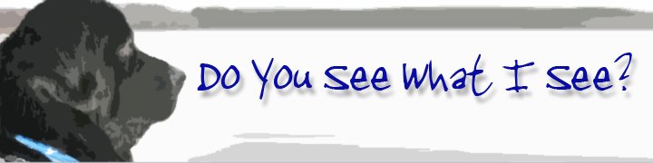 Do You See What I See?